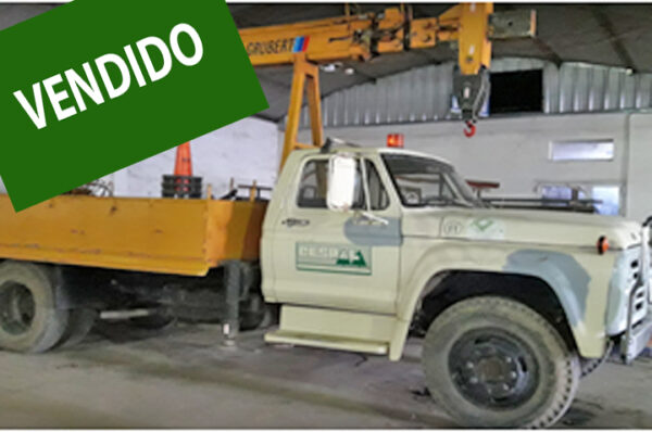Vendo camión Ford con grúa de brazo fijo